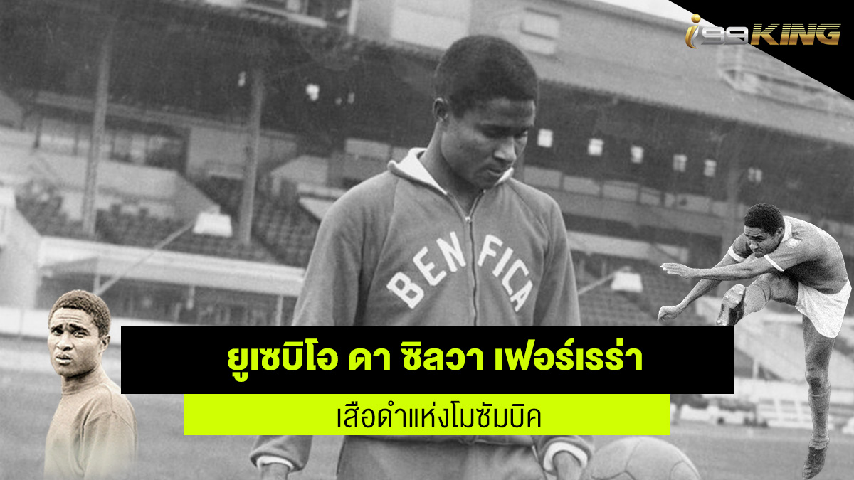 เสือดําแห่งโมซัมบิก เว็บเดิมพันออนไลน์