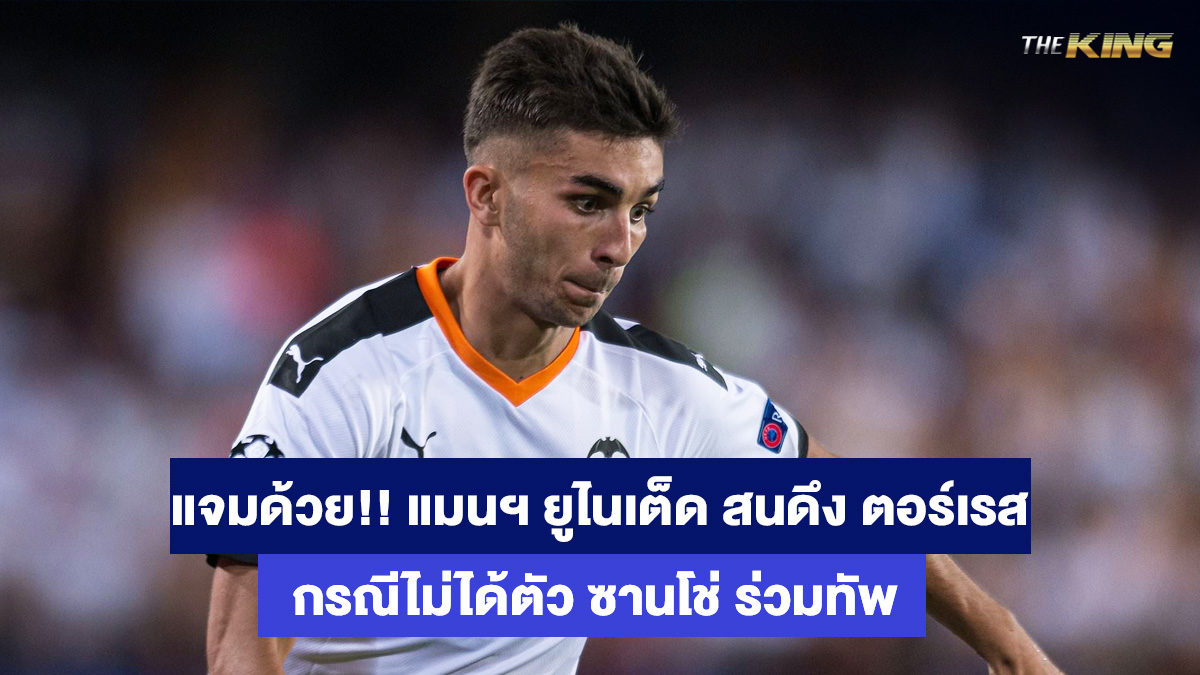 เฟร์ราน-ตอร์เรส-ตีไก่-2-ใบออนไลน์
